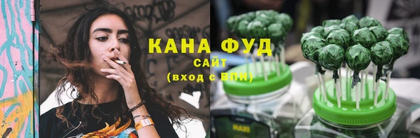молекула духа Горнозаводск