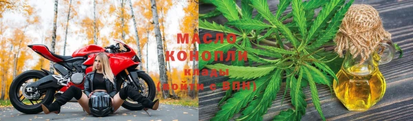 молекула духа Горнозаводск