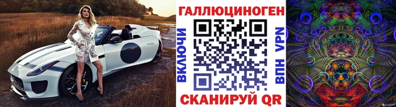 блэк спрут ссылки  дарнет шоп  Юрга  Псилоцибиновые грибы Psilocybine cubensis 